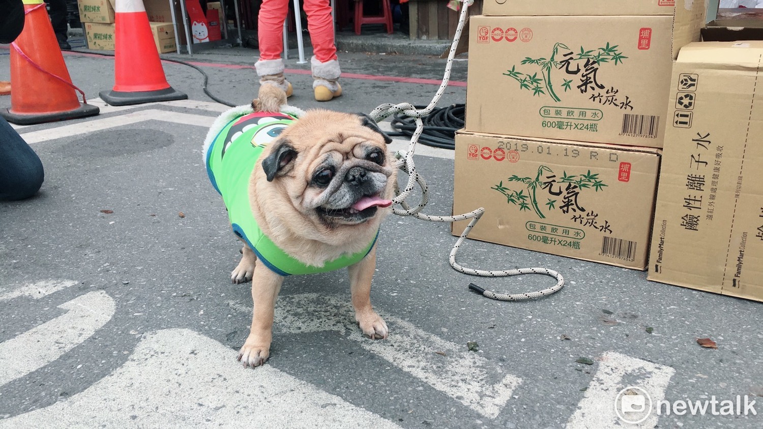 稍早一隻巴戈犬被救出。 圖:黃韋銓/攝 稍早一隻巴戈犬被救出。 圖:黃韋銓/攝