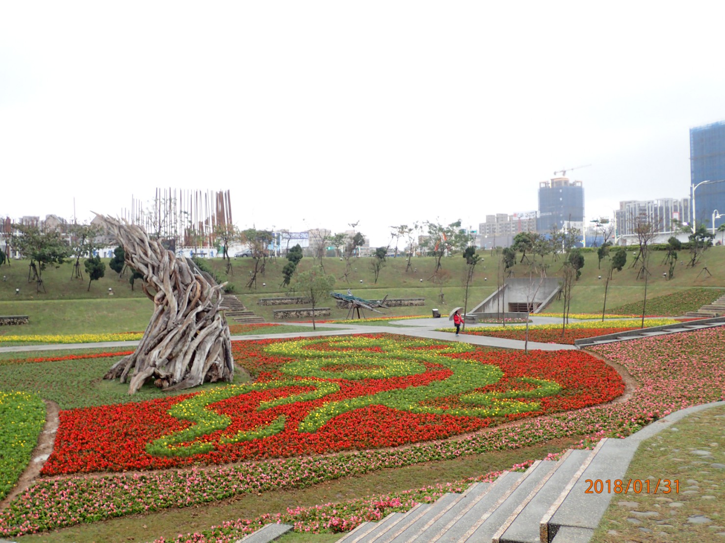 桃園市政府特別為了春節假期,於桃園區風禾公園、平鎮區復興親子公園及大溪區埔頂公園等3處,規劃狗年意象「旺來」主題花海。 桃園市政府特別為了春節假期,於桃園區風禾公園、平鎮區復興親子公園及大溪區埔頂公園等3處,規劃狗年意象「旺來」主題花海。