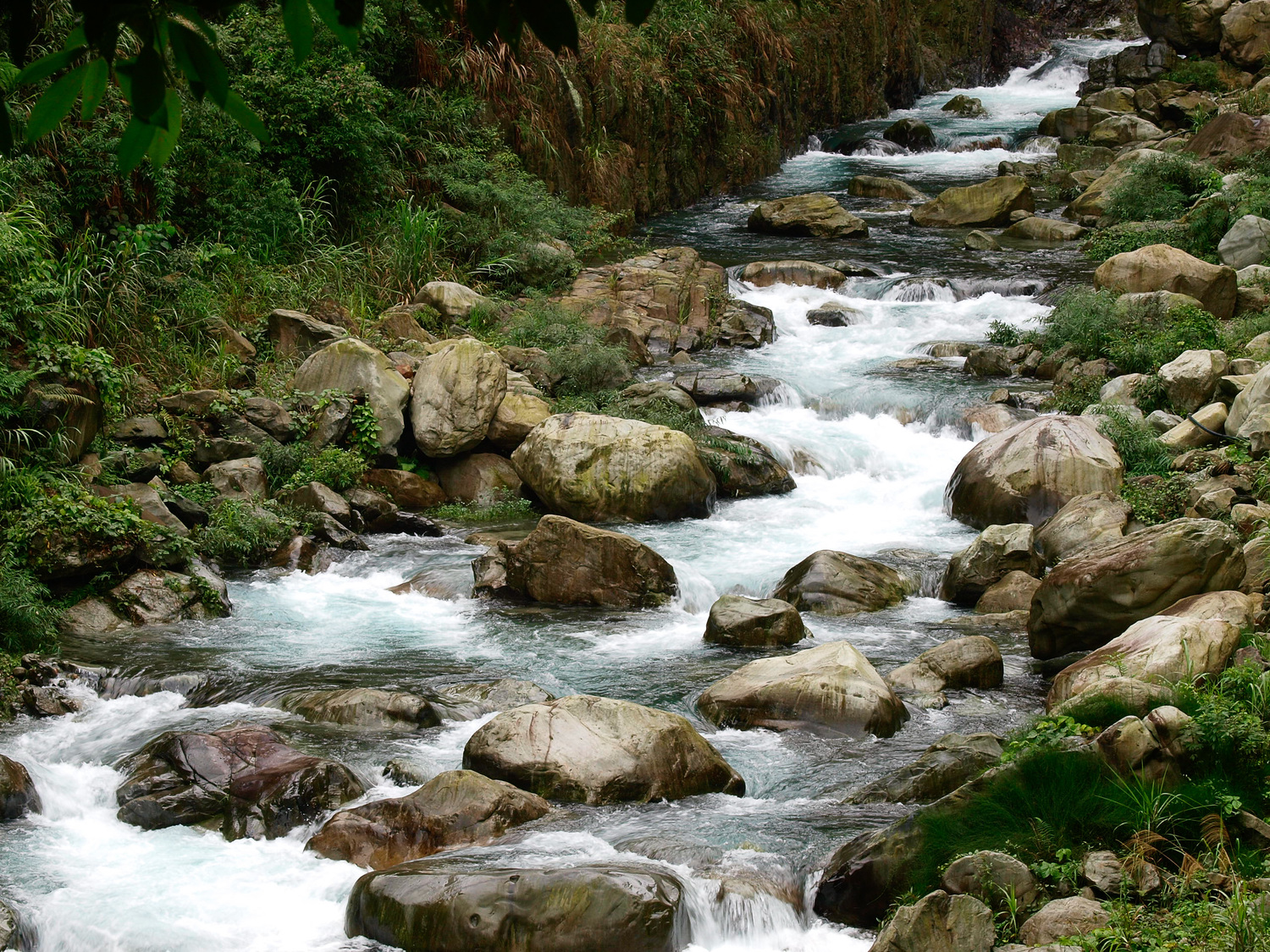 位於八仙山國家森林遊樂區十文溪,湍湍的溪水聲搭配山谷的鳥語聲,讓你不自覺步調放慢下來。 圖:林務局提供 位於八仙山國家森林遊樂區十文溪,湍湍的溪水聲搭配山谷的鳥語聲,讓你不自覺步調放慢下來。 圖:林務局提供