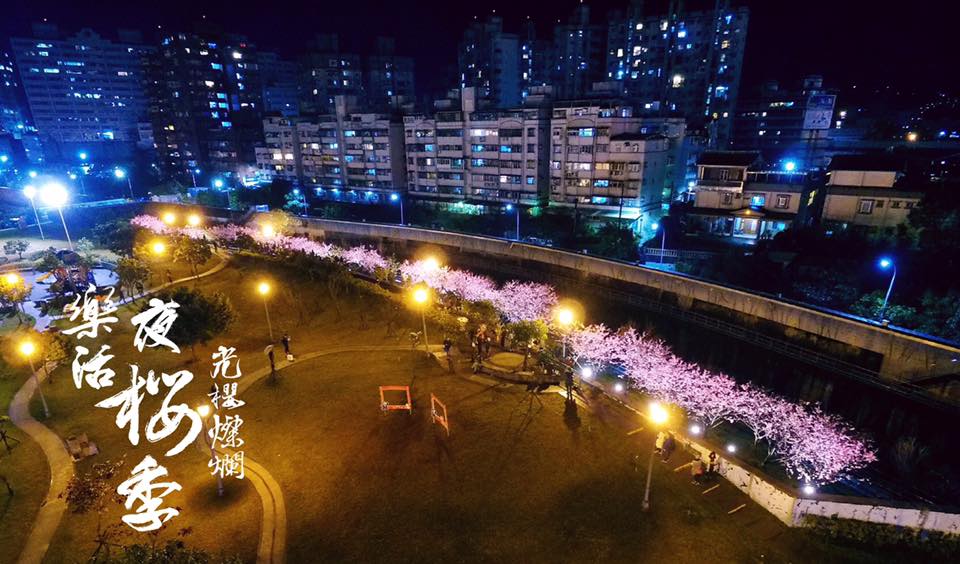 內湖夜櫻季夜晚美景,相當壯麗浪漫! 圖:內湖樂活夜櫻季FB粉絲專頁/提供 內湖夜櫻季夜晚美景,相當壯麗浪漫! 圖:內湖樂活夜櫻季FB粉絲專頁/提供