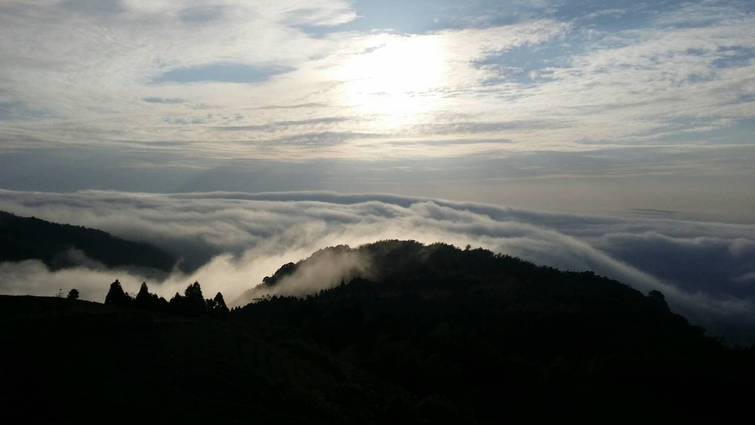 雲嶺之丘,雲海隨著山巒起伏。 圖 : 謝步智/攝 雲嶺之丘,雲海隨著山巒起伏。 圖 : 謝步智/攝