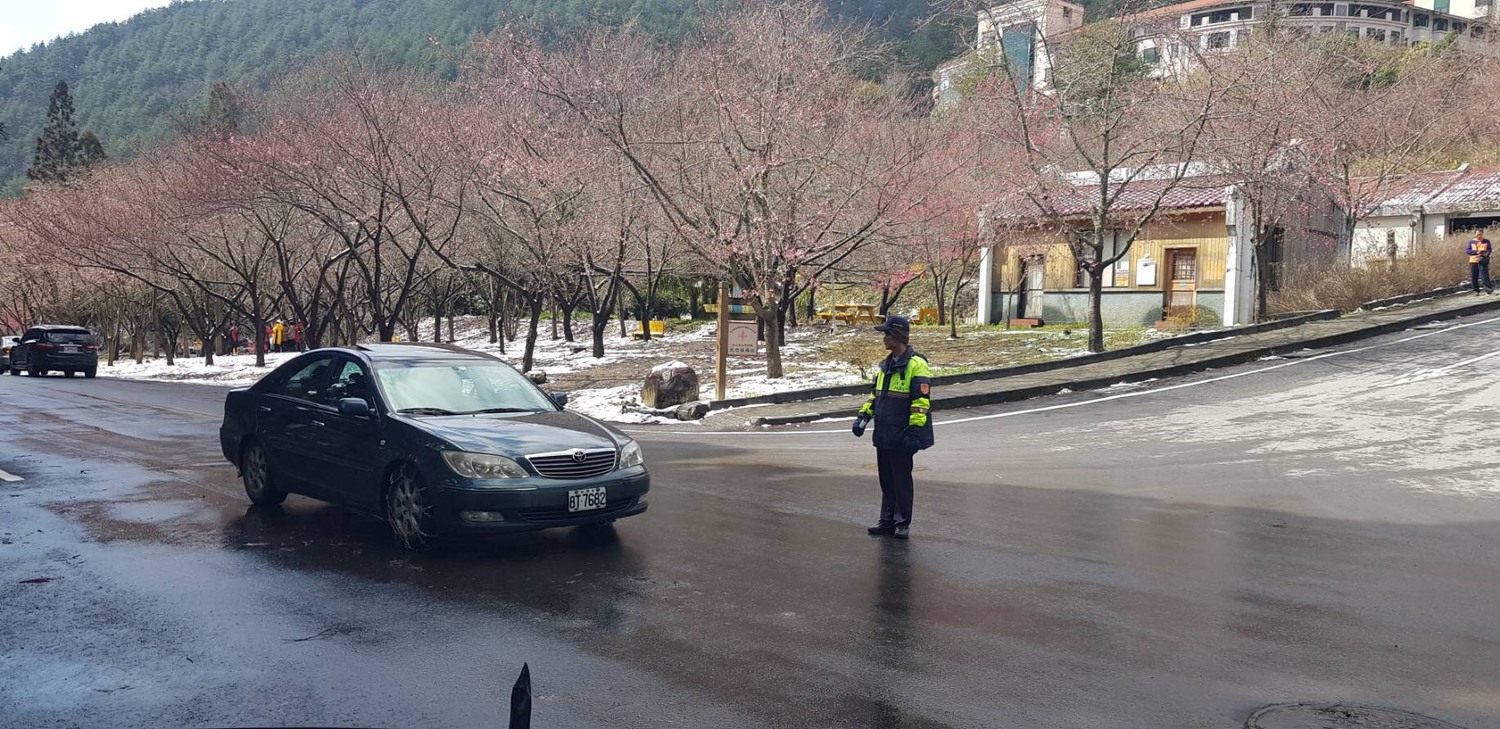 武陵農場櫻花季期間將實施交通管制。 武陵農場櫻花季期間將實施交通管制。