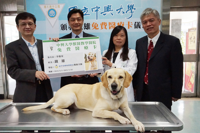 搜救犬鐵雄因支援花蓮震災因公受傷,用藥後隔天,鐵雄已能活動自如,平常就很黏人的鐵雄,受傷後變得更愛撒嬌,康復後的鐵雄開心和領犬員李俊昇(右)玩耍。 搜救犬鐵雄因支援花蓮震災因公受傷,用藥後隔天,鐵雄已能活動自如,平常就很黏人的鐵雄,受傷後變得更愛撒嬌,康復後的鐵雄開心和領犬員李俊昇(右)玩耍。