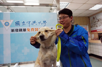 搜救犬鐵雄因支援花蓮震災因公受傷,用藥後隔天,鐵雄已能活動自如,平常就很黏人的鐵雄,受傷後變得更愛撒嬌,康復後的鐵雄開心和領犬員李俊昇(右)玩耍。 搜救犬鐵雄因支援花蓮震災因公受傷,用藥後隔天,鐵雄已能活動自如,平常就很黏人的鐵雄,受傷後變得更愛撒嬌,康復後的鐵雄開心和領犬員李俊昇(右)玩耍。