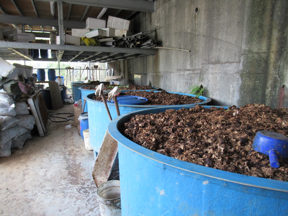 農場除了培養各種菌種改良土壤,還引進蚓菜共生的方法,養殖黑水虻及蚯蚓,將有機質廢棄物循環再利用,以蚓培材及自製液態肥施肥,成為零廢棄物農場。 圖:新北市農業局/提供 農場除了培養各種菌種改良土壤,還引進蚓菜共生的方法,養殖黑水虻及蚯蚓,將有機質廢棄物循環再利用,以蚓培材及自製液態肥施肥,成為零廢棄物農場。 圖:新北市農業局/提供