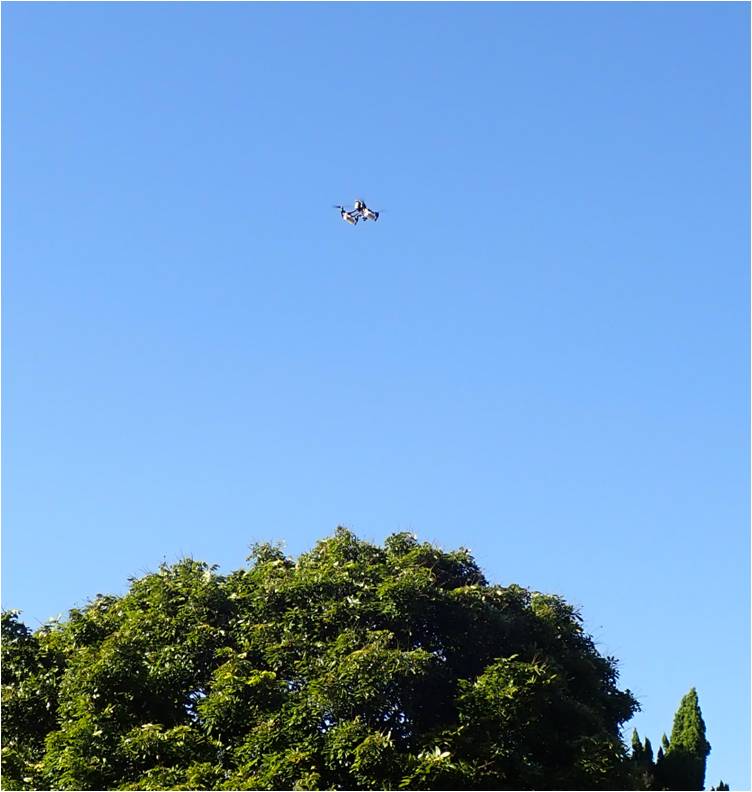 苗栗農藥改良區表示,無人飛機於大面積龍眼園上方釋放平腹小蜂卵片包 圖:農委會/提供 苗栗農藥改良區表示,無人飛機於大面積龍眼園上方釋放平腹小蜂卵片包 圖:農委會/提供