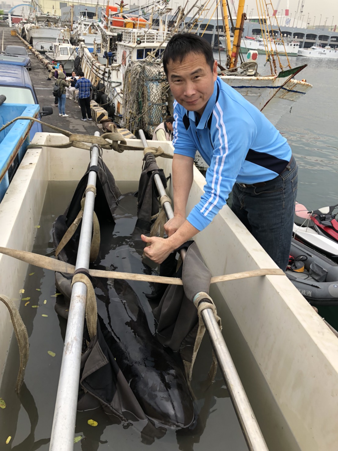 為了避免小虎鯨餓死、病死,圍捕隊伍目前已成功地將小虎鯨從小港漁港誘趕至高雄港96號碼頭誘捕目標地。在聯合隊伍的努力下,分別於3月6、9兩日協助脫困。 圖:嘉義市消防局/提供 為了避免小虎鯨餓死、病死,圍捕隊伍目前已成功地將小虎鯨從小港漁港誘趕至高雄港96號碼頭誘捕目標地。在聯合隊伍的努力下,分別於3月6、9兩日協助脫困。 圖:嘉義市消防局/提供