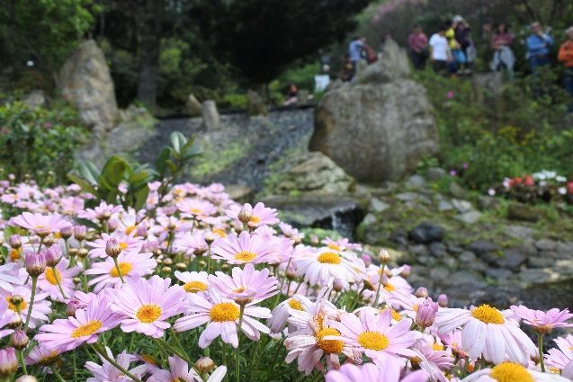 台北市陽明山花季假日系列活動也同樣開跑,於今天(10)日舉辦「花花世界親子彩繪」,邀請親子一起將陽明公園的園路添加不一樣的色彩,希望打造地景藝術花花大道,畫上屬於你的花朵。 台北市陽明山花季假日系列活動也同樣開跑,於今天(10)日舉辦「花花世界親子彩繪」,邀請親子一起將陽明公園的園路添加不一樣的色彩,希望打造地景藝術花花大道,畫上屬於你的花朵。