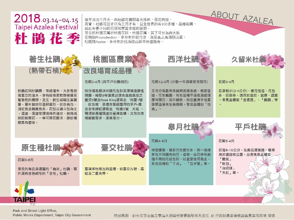 此次展示於大安森林公園品種區的杜鵑花品種共8類。 圖:台北市政府工務局/提供 此次展示於大安森林公園品種區的杜鵑花品種共8類。 圖:台北市政府工務局/提供