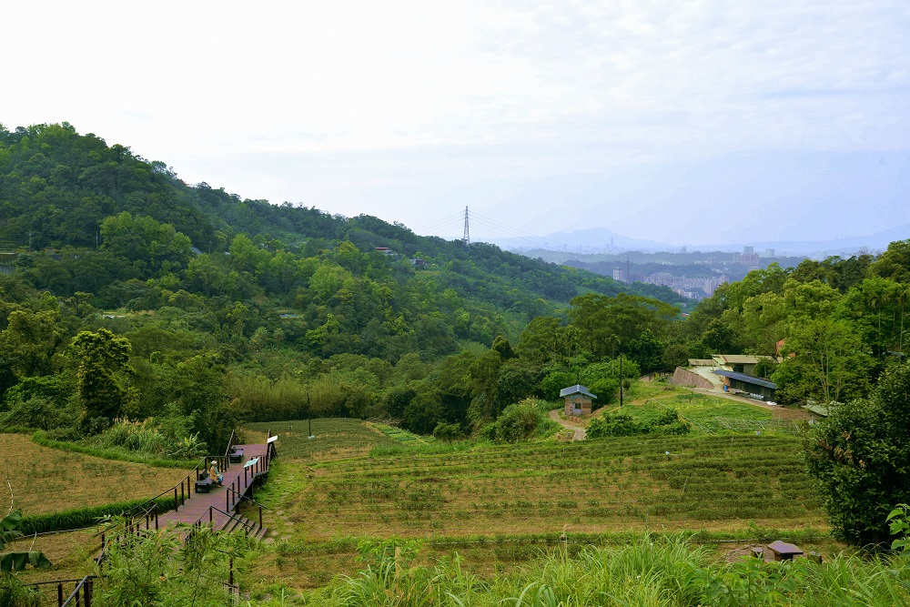 曾榮獲台北市政府最高榮譽「公共工程卓越獎」殊榮得田寮橋貓空水土保持茶園,週邊木棧道沿線茶園景緻,吸引不少攝影愛好者前來朝聖,堪稱貓空最美的茶園! 圖:台北市工務局提供 曾榮獲台北市政府最高榮譽「公共工程卓越獎」殊榮得田寮橋貓空水土保持茶園,週邊木棧道沿線茶園景緻,吸引不少攝影愛好者前來朝聖,堪稱貓空最美的茶園! 圖:台北市工務局提供