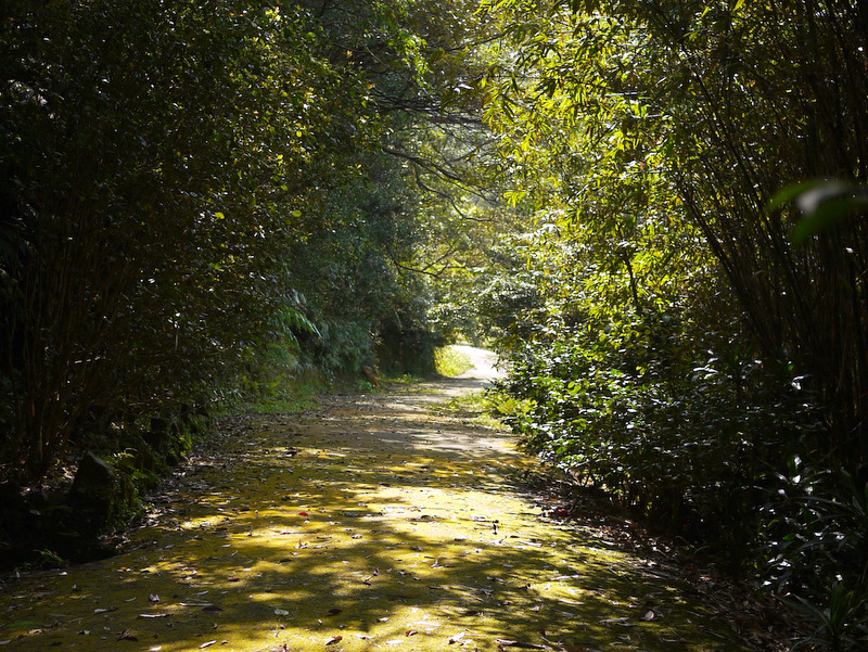 陽明山的溪園位於陽明山國家公園的東南邊緣,園內林相茂密植物種類繁多,生態資源極為豐富,整個園區內的螢火蟲種類甚至多達10幾種! 圖:陽明山國家公園官網提供 陽明山的溪園位於陽明山國家公園的東南邊緣,園內林相茂密植物種類繁多,生態資源極為豐富,整個園區內的螢火蟲種類甚至多達10幾種! 圖:陽明山國家公園官網提供