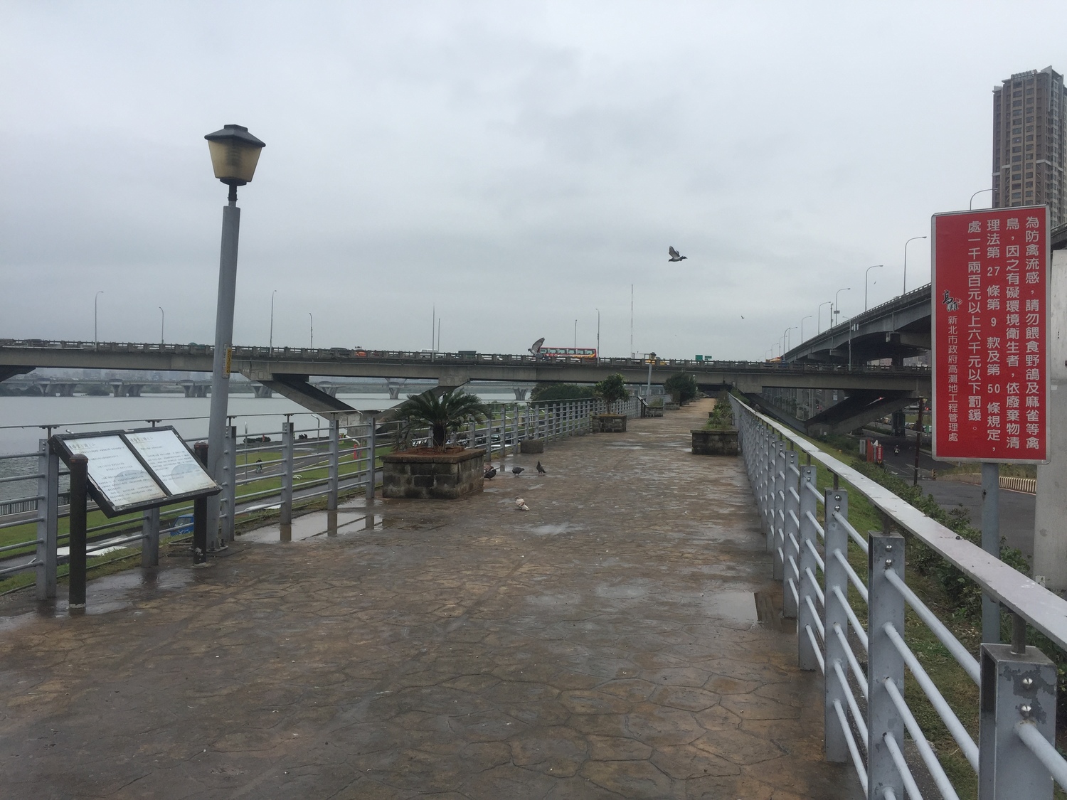 高灘地野鴿聚集處設置禁止餵食禽鳥告示牌。 圖:新北市動保處提供 高灘地野鴿聚集處設置禁止餵食禽鳥告示牌。 圖:新北市動保處提供