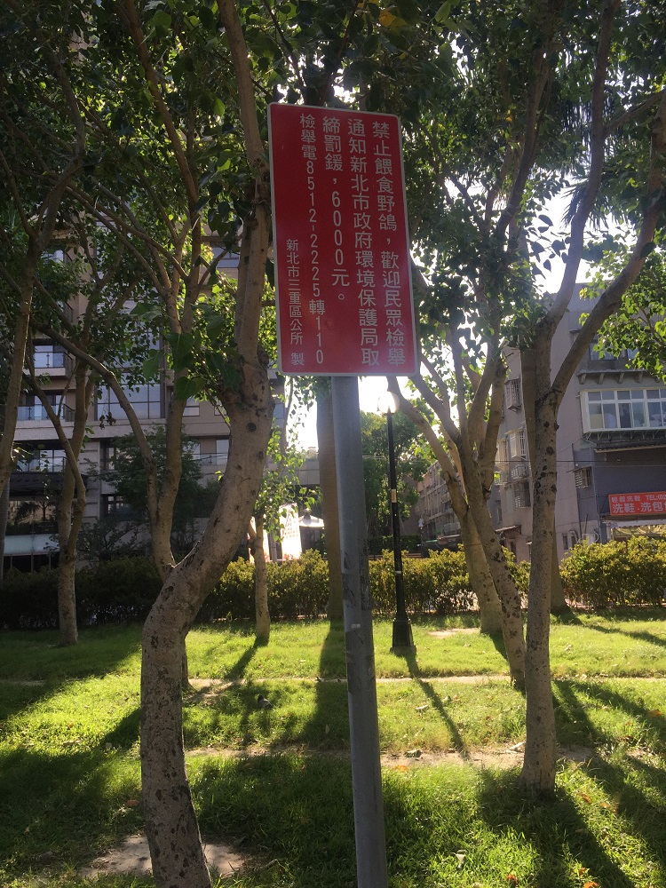 公所每日巡查並在公園設置禁止餵食禽鳥告示牌。 圖:新北市動保處提供 公所每日巡查並在公園設置禁止餵食禽鳥告示牌。 圖:新北市動保處提供
