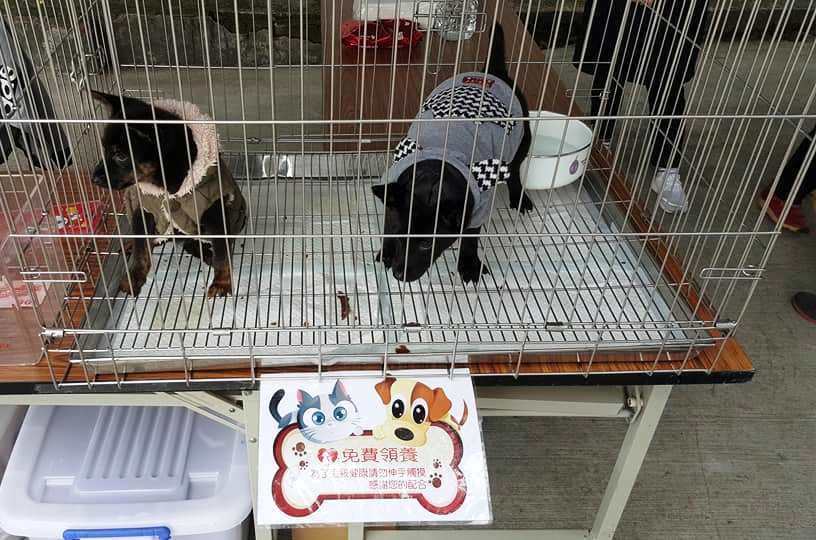 新北市立十三行博物館於4月14日舉辦「考古狗大會師」,邀集裝扮考古、原住民風的狗狗齊聚一堂。 新北市立十三行博物館於4月14日舉辦「考古狗大會師」,邀集裝扮考古、原住民風的狗狗齊聚一堂。