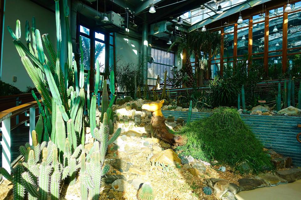 藝術展還有在城市少見的仙人掌等動植物展示,讓參觀朋友進一步藉著植物的療癒力促進身、心、靈的益康。 圖:台北旅遊網提供 藝術展還有在城市少見的仙人掌等動植物展示,讓參觀朋友進一步藉著植物的療癒力促進身、心、靈的益康。 圖:台北旅遊網提供