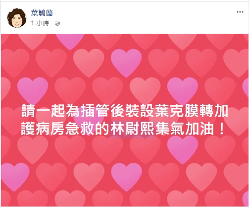 前警大教授葉毓蘭在臉書上為隊員林尉熙祈福。 圖/翻攝自臉書 前警大教授葉毓蘭在臉書上為隊員林尉熙祈福。 圖/翻攝自臉書