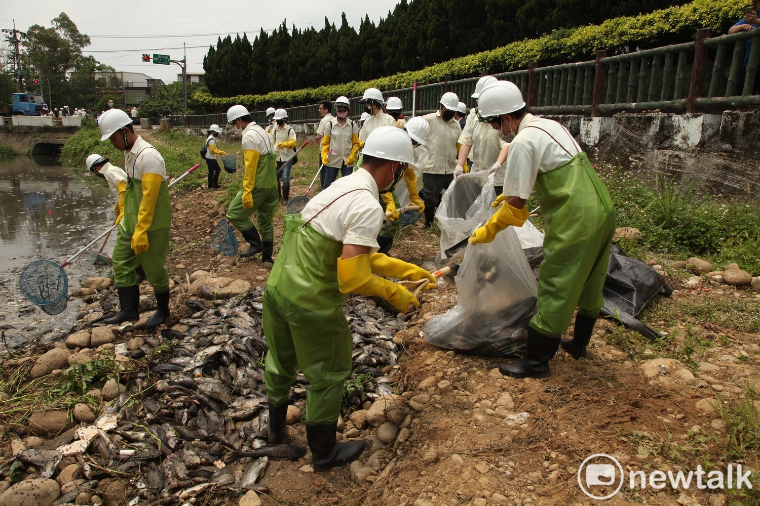 桃園市政府及敬鵬工業動員清理魚屍,截至今(3)日上午共清理近30噸。 桃園市政府及敬鵬工業動員清理魚屍,截至今(3)日上午共清理近30噸。