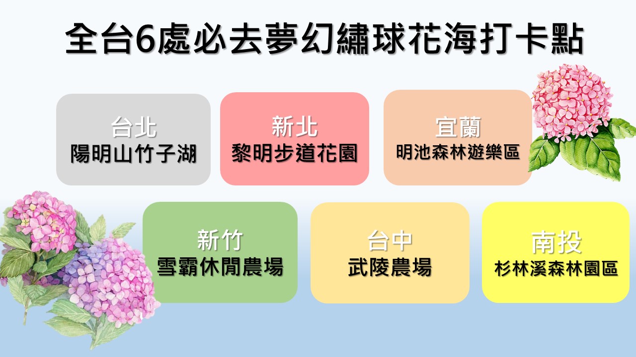 夢幻繡球花季來了!繡球花又名木繡球、八仙花、粉團花,花語有希望之義,讓你五月沉浸在繡球花繽紛的氛圍! 夢幻繡球花季來了!繡球花又名木繡球、八仙花、粉團花,花語有希望之義,讓你五月沉浸在繡球花繽紛的氛圍!