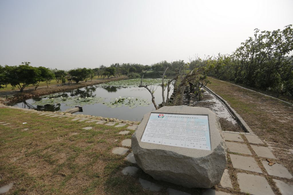 大安水蓑衣生態園區。 圖:台中市政府提供 大安水蓑衣生態園區。 圖:台中市政府提供