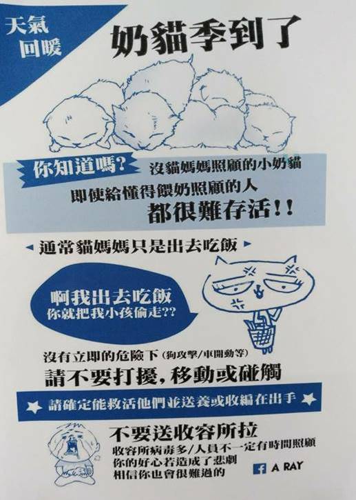 市民朋友若在野外發現哺乳期幼貓幼犬,應先確定母親是否只是暫時外出再考慮帶走收養。 圖:新北市動保處/提供 市民朋友若在野外發現哺乳期幼貓幼犬,應先確定母親是否只是暫時外出再考慮帶走收養。 圖:新北市動保處/提供