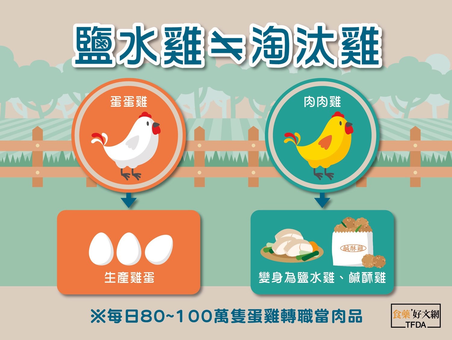 許多仿間謠言指出許多店家販賣的鹽水雞都是淘汰雞,食藥署出面闢謠,鹽水雞並不是淘汰雞,只是生蛋率低、蛋殼易缺損的老母雞,並非謠傳的淘汰雞。 許多仿間謠言指出許多店家販賣的鹽水雞都是淘汰雞,食藥署出面闢謠,鹽水雞並不是淘汰雞,只是生蛋率低、蛋殼易缺損的老母雞,並非謠傳的淘汰雞。