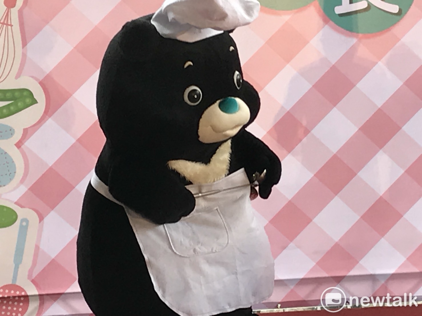 海洋鼻熊讚。 圖 : 周煊惠 / 攝 海洋鼻熊讚。 圖 : 周煊惠 / 攝