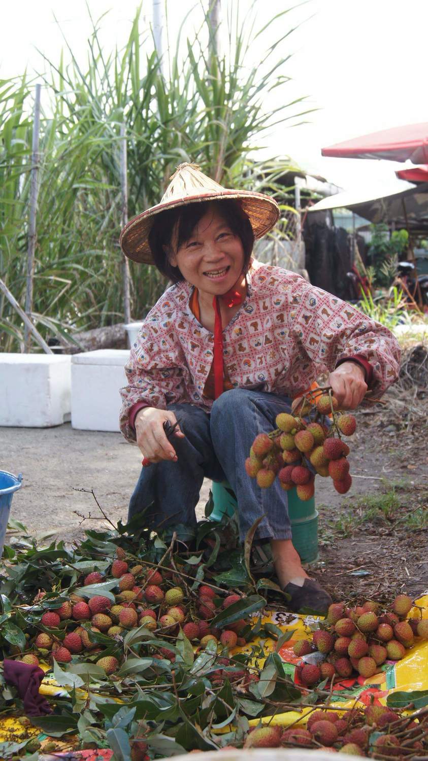 因為農民用心的栽種,讓世界都知道台灣是水果王國。 圖:陳其邁辦公室提供 因為農民用心的栽種,讓世界都知道台灣是水果王國。 圖:陳其邁辦公室提供
