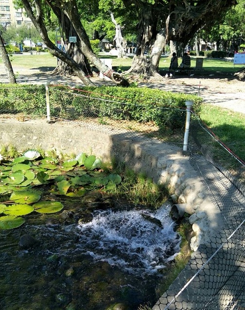 建設局表示，台中公園是在地人悠久的歷史記憶，為維護日月湖水質，將引入合格的綠川、旱溪水流，形成「活水鏈」。