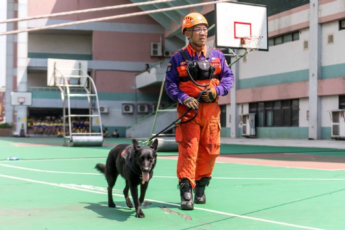桃園消防局在研習期間派出救難犬一同演練。 圖:桃園市政府/提供 桃園消防局在研習期間派出救難犬一同演練。 圖:桃園市政府/提供