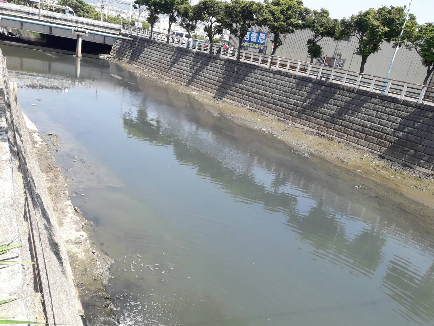 台中市環保局指出,大排下游水檢測並未驗出重金屬及氰化物,但水中溶氧只有0.7毫克/公升,低於一般魚類適合生存的2毫克/公升含量。 圖:台中市政府/提供 台中市環保局指出,大排下游水檢測並未驗出重金屬及氰化物,但水中溶氧只有0.7毫克/公升,低於一般魚類適合生存的2毫克/公升含量。 圖:台中市政府/提供