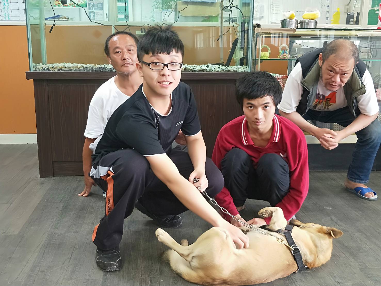 動保處表示,希望能夠透過餵食或帶狗狗去散步等簡單的動作,鼓勵年長者多多活動筋骨。 圖:新北市政府/提供 動保處表示,希望能夠透過餵食或帶狗狗去散步等簡單的動作,鼓勵年長者多多活動筋骨。 圖:新北市政府/提供