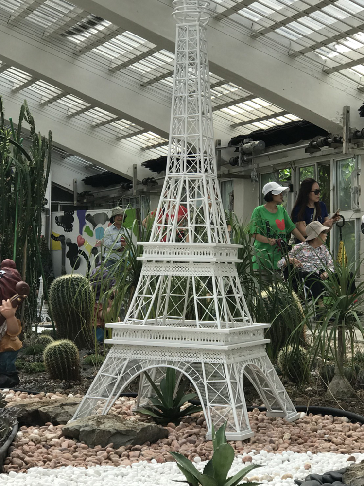 現場有上百種多肉植物,而且地中海風格的藍白溫室還有許多拍照打卡景點等著遊客留影。 圖:台北市工務局/提供 現場有上百種多肉植物,而且地中海風格的藍白溫室還有許多拍照打卡景點等著遊客留影。 圖:台北市工務局/提供