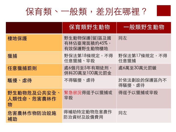 農委會將山羌、台灣獼猴、白鼻心、大田鷸、龜殼花、雨傘節、眼鏡蛇、短肢攀蜥等8種動物從保育類降為一般動物。