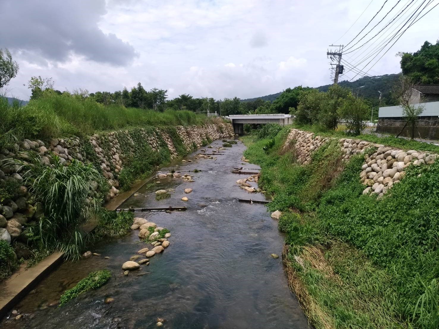 經過整治後的食水嵙溪,水域生態環境也變好了。 圖:台中市政府/提供 經過整治後的食水嵙溪,水域生態環境也變好了。 圖:台中市政府/提供