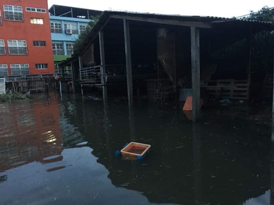 水淹半層樓,農舍器具一切泡湯,四處漂流。 圖:翻攝爆料公社 水淹半層樓,農舍器具一切泡湯,四處漂流。 圖:翻攝爆料公社
