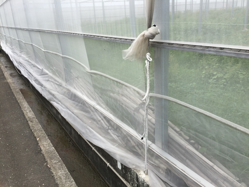 農作物設施加強固定。 圖 : 高雄農改場/提供 農作物設施加強固定。 圖 : 高雄農改場/提供