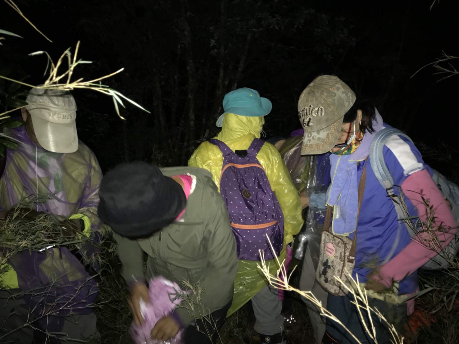 9名登山客於颱風來襲前一天登山迷路,幸好消防局派員成功尋獲受困民眾,平安下山。 9名登山客於颱風來襲前一天登山迷路,幸好消防局派員成功尋獲受困民眾,平安下山。
