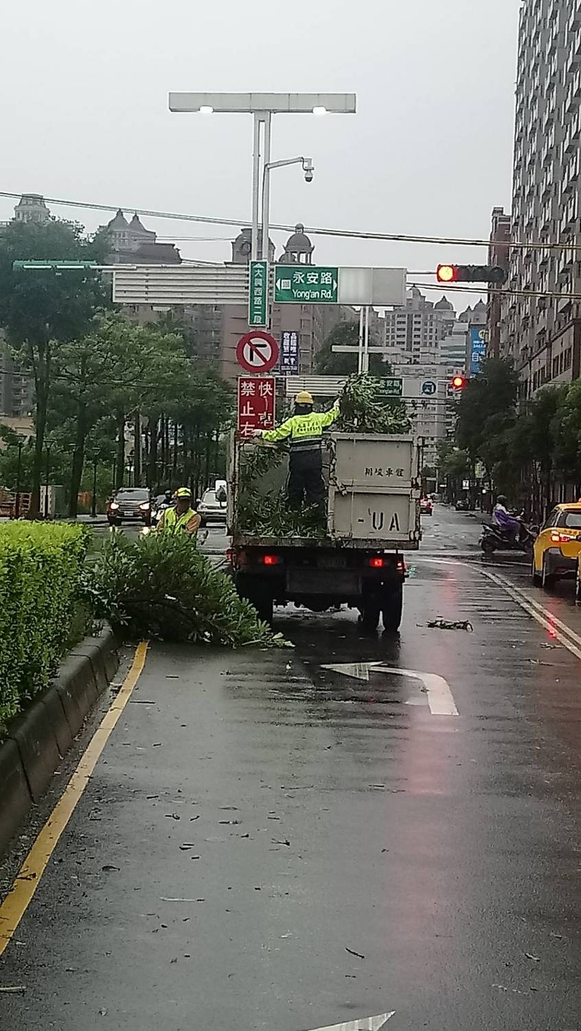 瑪莉亞颱風過境,桃園市未傳出嚴重災情,但仍造成路樹傾倒及枝葉散落,路面亦有廢棄物掉落影響環境。 圖:林昀真/攝 瑪莉亞颱風過境,桃園市未傳出嚴重災情,但仍造成路樹傾倒及枝葉散落,路面亦有廢棄物掉落影響環境。 圖:林昀真/攝