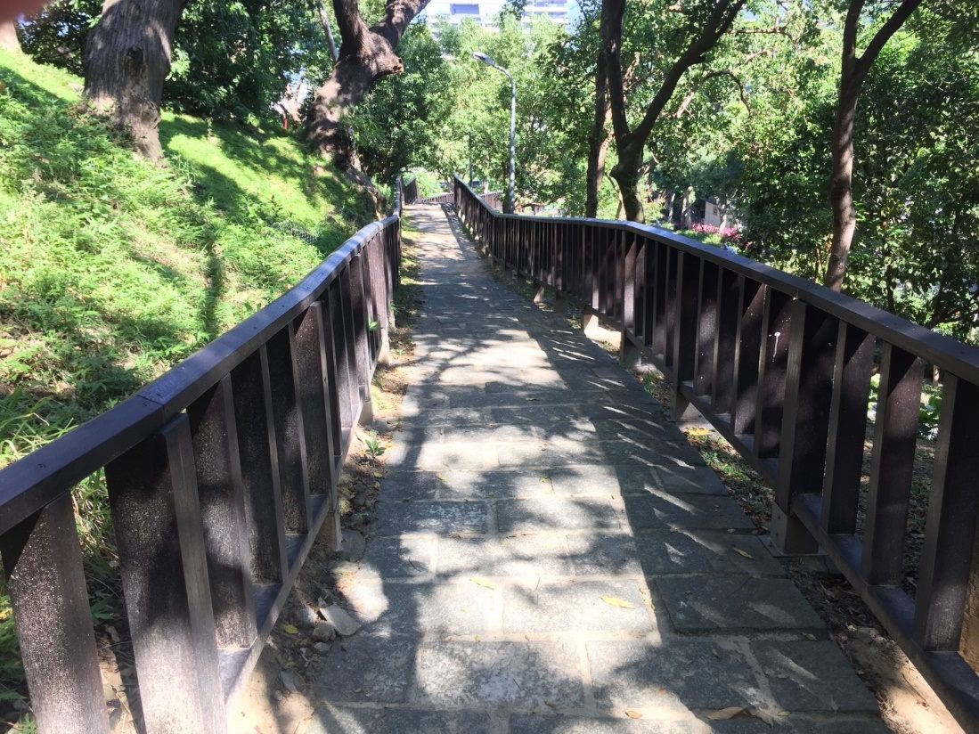 福志公園除了特色的遊具外,還有具挑戰性的登山步道,加上公園內許多成蔭的大樹,如大王椰子、鳳凰木、楝樹及樟樹交錯在步道上。 圖:台北市工務局提供 福志公園除了特色的遊具外,還有具挑戰性的登山步道,加上公園內許多成蔭的大樹,如大王椰子、鳳凰木、楝樹及樟樹交錯在步道上。 圖:台北市工務局提供