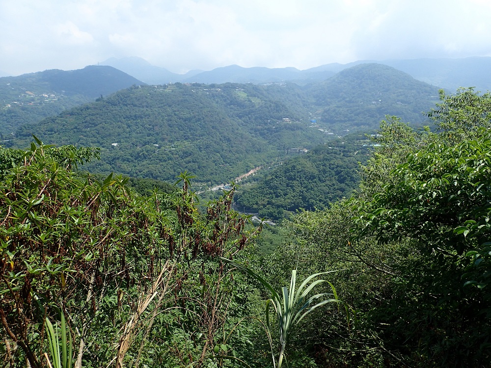 親山步道途中,還可遠眺陽明山層巒山美景。 圖:台北市工務局提供 親山步道途中,還可遠眺陽明山層巒山美景。 圖:台北市工務局提供