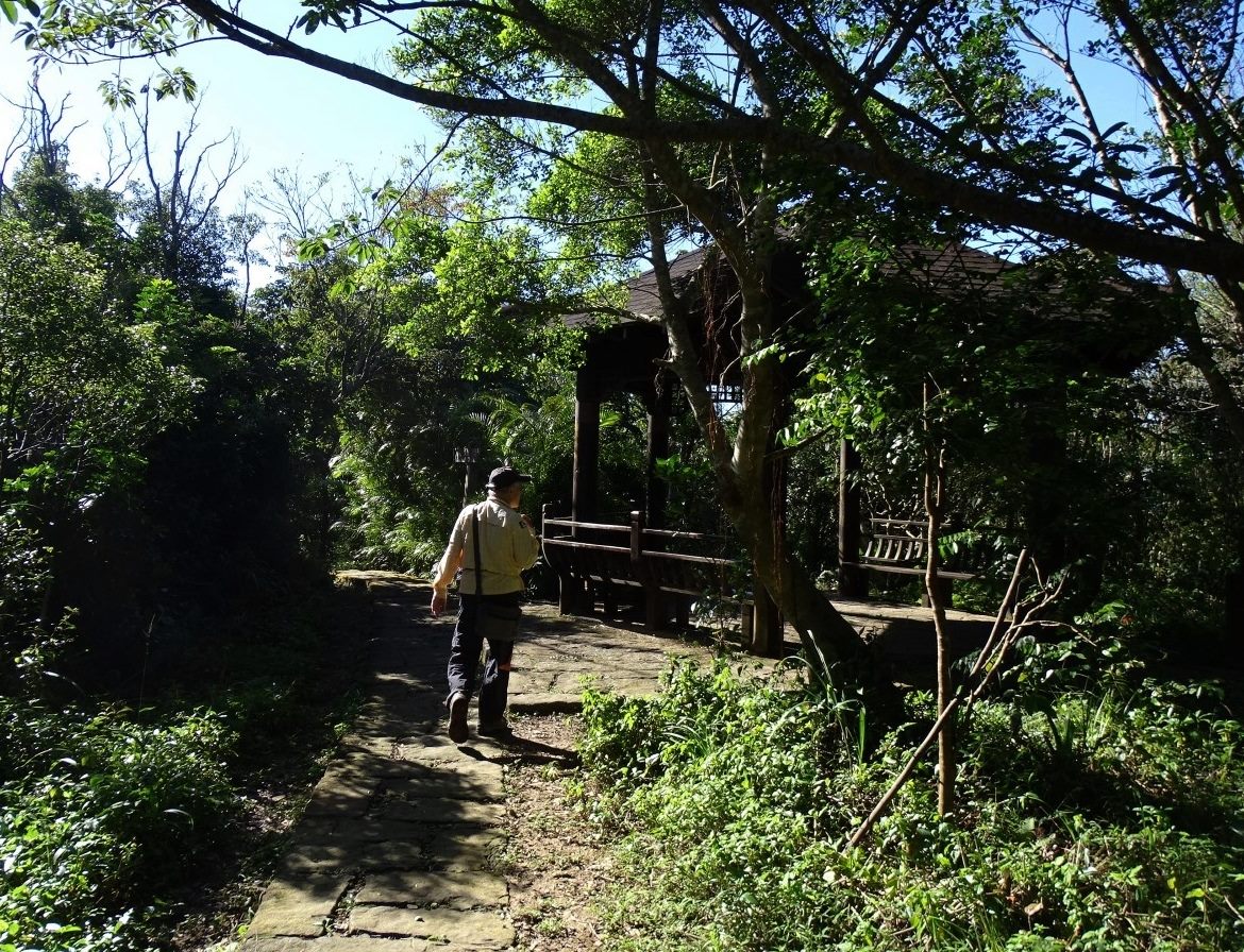 大崙尾山頂六角涼亭,是親山健行途中避暑的絕佳地! 圖:台北市工務局提供 大崙尾山頂六角涼亭,是親山健行途中避暑的絕佳地! 圖:台北市工務局提供