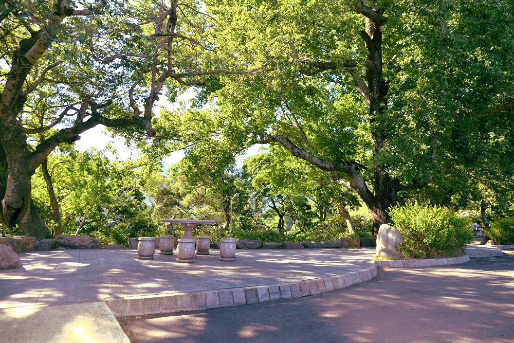 橫嶺古道步行途中會經過歷史悠久的楓香姊妹樹平台,是供山友休息的歇腳處。 圖 :台北市工務局提供 橫嶺古道步行途中會經過歷史悠久的楓香姊妹樹平台,是供山友休息的歇腳處。 圖 :台北市工務局提供