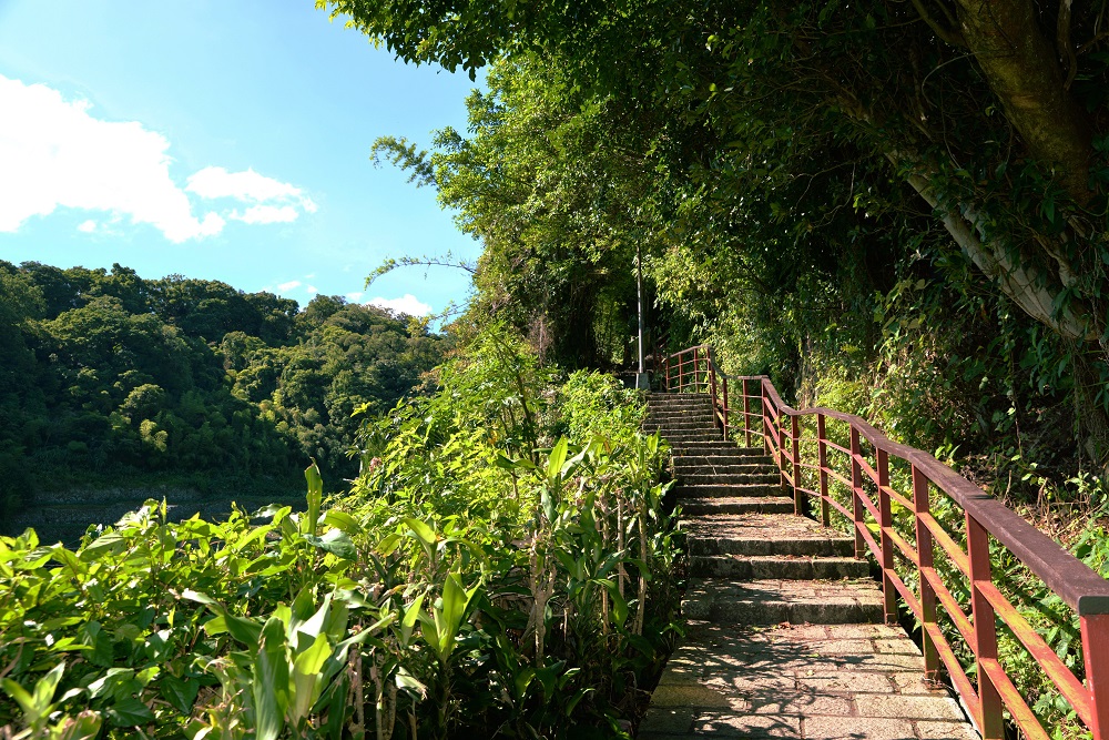 沿著湖底路往湖山路方向的橫嶺古道步行,紗帽山緩緩向上,古道平緩起伏不大,沿途各式植栽解說板提供山友。 圖 :台北市工務局提供 沿著湖底路往湖山路方向的橫嶺古道步行,紗帽山緩緩向上,古道平緩起伏不大,沿途各式植栽解說板提供山友。 圖 :台北市工務局提供