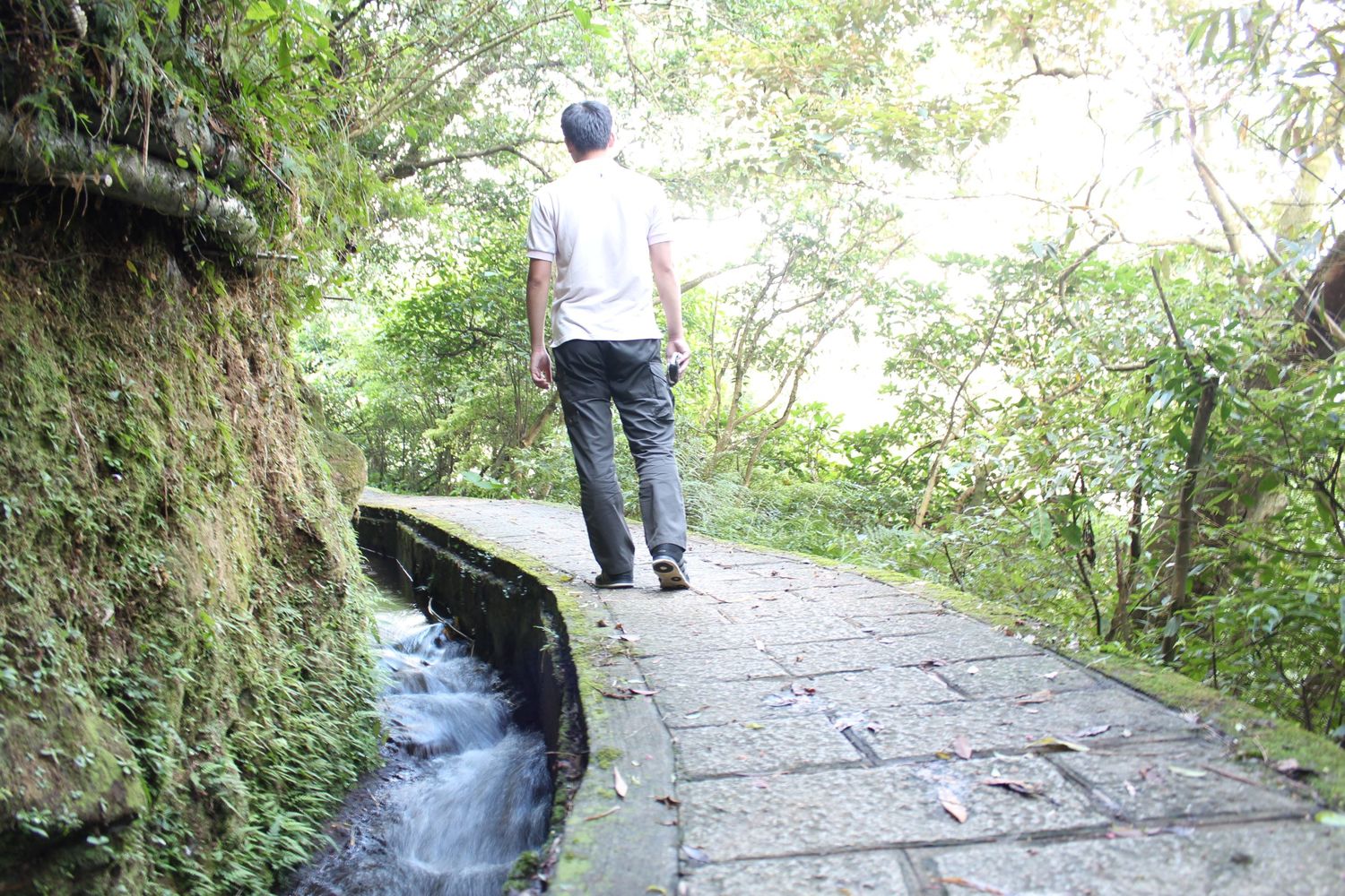 位在士林區「坪頂古圳步道」,一條具樸實古意歷史悠久之步道,全段平緩好走,適合與老爸一同健行! 圖:台北市工務局提供 位在士林區「坪頂古圳步道」,一條具樸實古意歷史悠久之步道,全段平緩好走,適合與老爸一同健行! 圖:台北市工務局提供