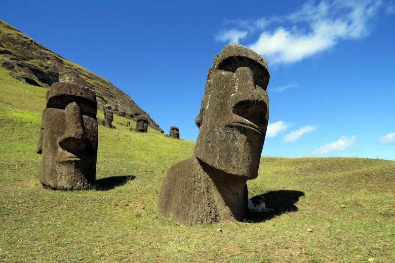 智利復活節島市長暨拉帕努依族(Rapa Nui)族長艾德蒙斯(Pedro Pablo Edmunds Paoa)應中華民國政府邀請,於本(107)年7月30日至 8月5日訪臺出席「2018年南島民族論壇」,並於昨至(3)日訪問蘭嶼,與蘭嶼雅美(達悟)族代表--蘭嶼鄉公所鄉長夏曼.迦拉牧簽署合作交流瞭解備忘錄締結姐妹族。 圖 : 翻攝自David_Bekowitz@flicker 智利復活節島市長暨拉帕努依族(Rapa Nui)族長艾德蒙斯(Pedro Pablo Edmunds Paoa)應中華民國政府邀請,於本(107)年7月30日至 8月5日訪臺出席「2018年南島民族論壇」,並於昨至(3)日訪問蘭嶼,與蘭嶼雅美(達悟)族代表--蘭嶼鄉公所鄉長夏曼.迦拉牧簽署合作交流瞭解備忘錄締結姐妹族。 圖 : 翻攝自David_Bekowitz@flicker