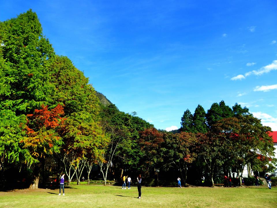 奧萬大的風景令人陶醉,是適合旅遊的好去處。 圖:奧萬大情報站臉書 奧萬大的風景令人陶醉,是適合旅遊的好去處。 圖:奧萬大情報站臉書