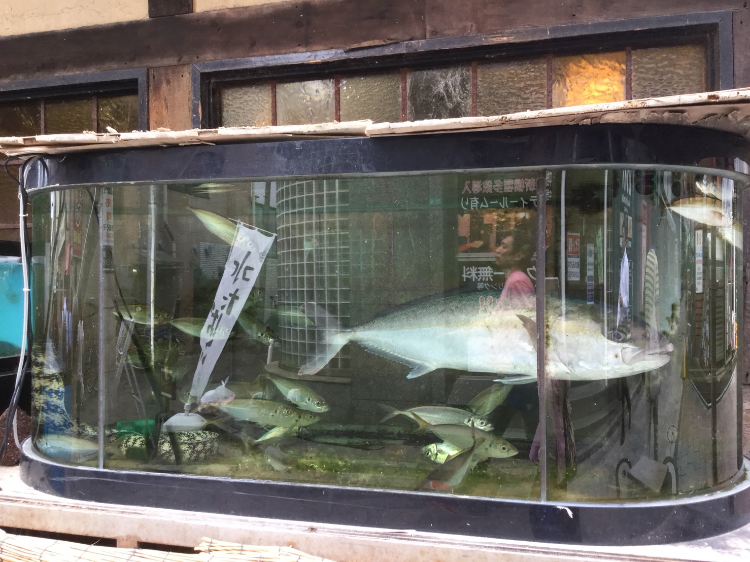 北海道地震震度6,已有3人死亡、數十人失蹤,及多人活埋 圖:劉黎兒翻拍自朝日新聞網路 北海道地震震度6,已有3人死亡、數十人失蹤,及多人活埋 圖:劉黎兒翻拍自朝日新聞網路