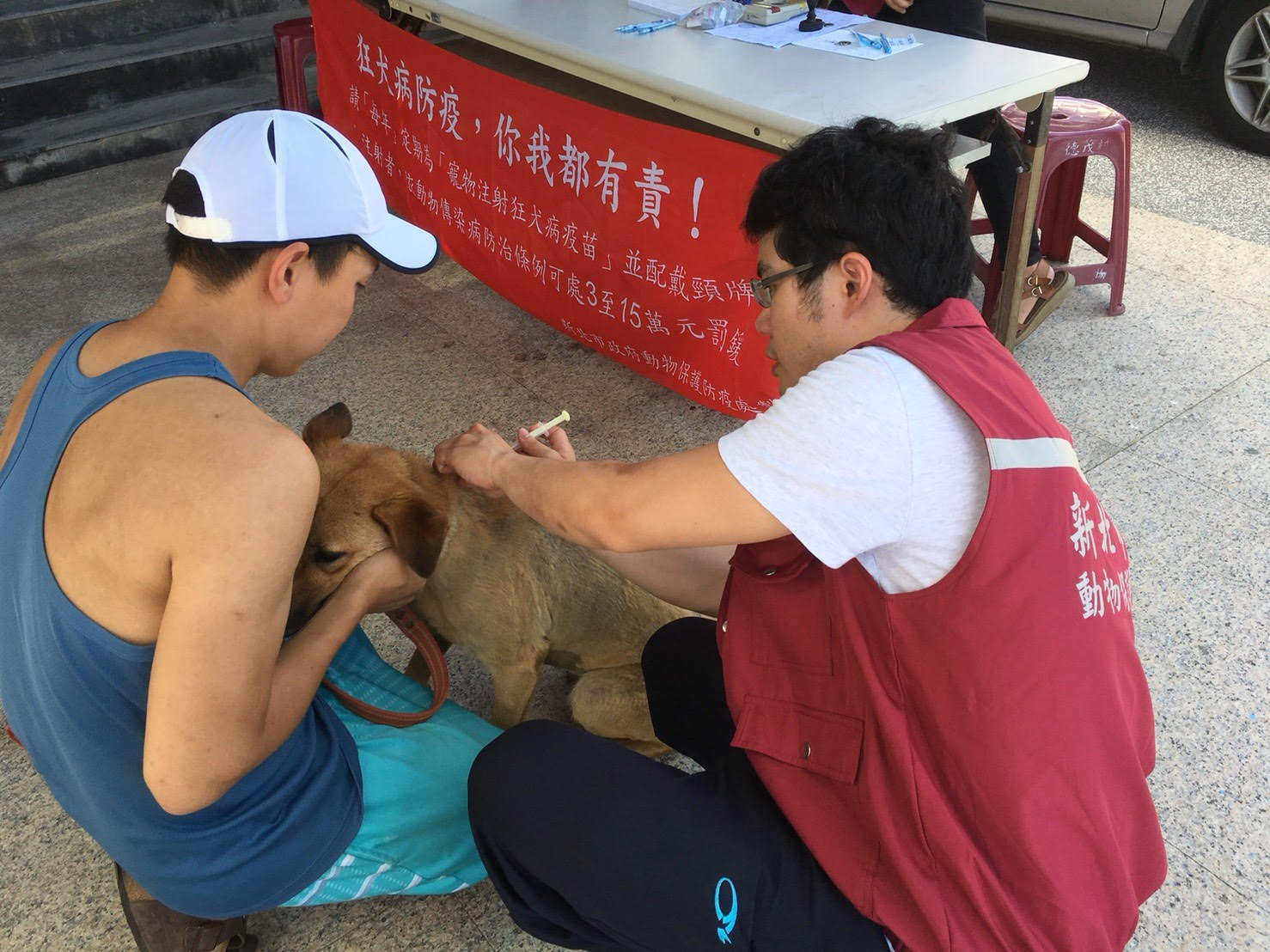 動保處獸醫幫狗寶貝施打晶片做寵物登記。 圖:新北市動保處/提供 動保處獸醫幫狗寶貝施打晶片做寵物登記。 圖:新北市動保處/提供