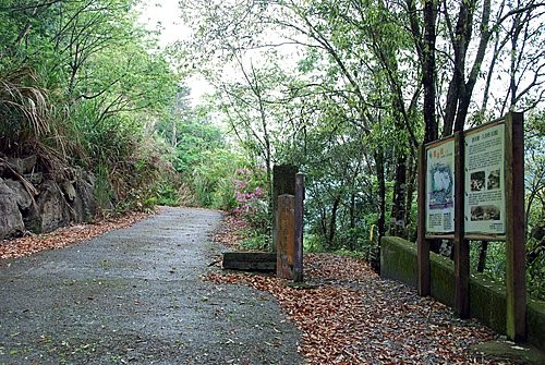 和平區德芙蘭休閒農業區生態步道風景 圖:台中市政府農業局/提供 和平區德芙蘭休閒農業區生態步道風景 圖:台中市政府農業局/提供