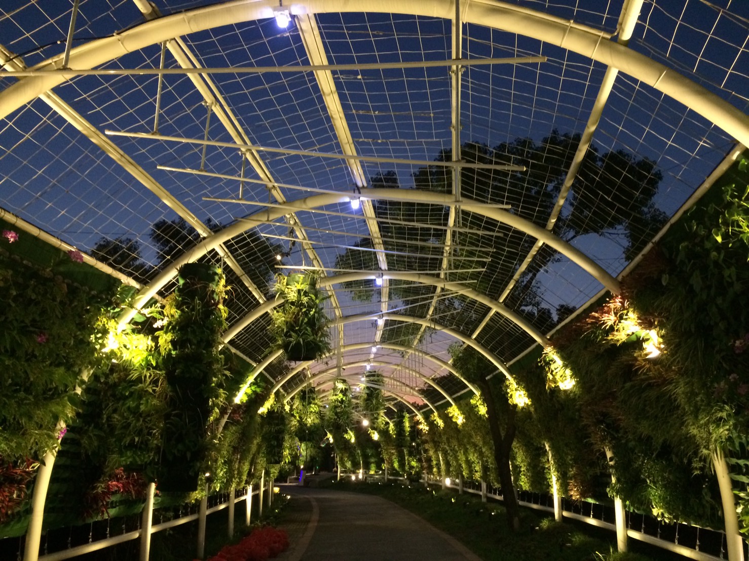 第三區花廊道 圖:台中市政府/提供 第三區花廊道 圖:台中市政府/提供